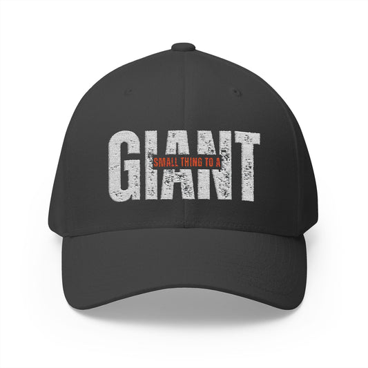 Small Thing To A Giant Hat